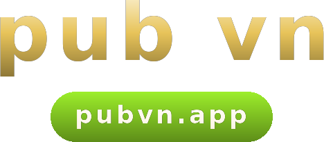 pub vn logo